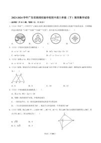 2023-2024学年深圳实验学校初中部八年级下册期末数学试卷及答案