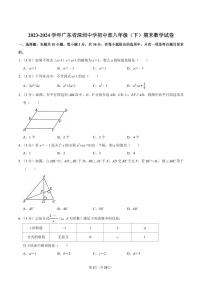 2023-2024学年深圳中学八年级下册期末数学试卷及答案
