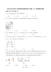 2023-2024学年深圳外国语学校八年级下册期末数学试卷及答案