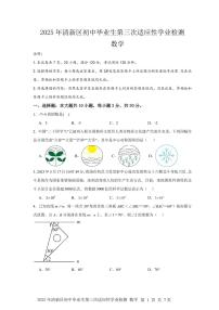 2025年广东省清远市清新区中考三模数学试题（中考模拟）