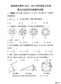 2025年陕西省西安市陕西省师范大学附属中学中考九模数学试题（中考模拟）