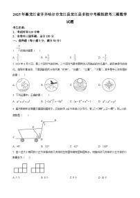 2025年黑龙江省齐齐哈尔市龙江县龙江县多校中考模拟联考三模数学试题（中考模拟）