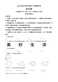 2025年湖北省荆州市沙市区中考三模数学试题 -（中考模拟）