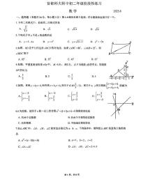 北京市海淀区首都师范大学附属中学2024-2025学年下学期八年级6月月考数学试卷