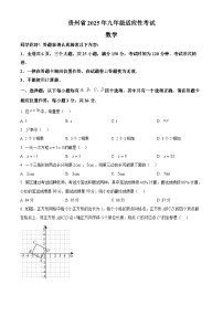 贵州省毕节市织金县2024-2025学年九年级下学期4月月考数学试题