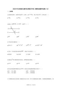 2025年云南省玉溪市红塔区中考二模考试数学试卷