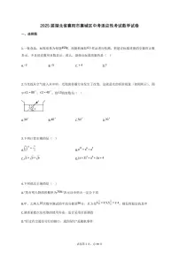 2025届湖北省襄阳市襄城区中考适应性考试数学试卷