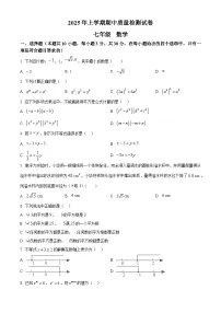 湖南省岳阳市2024-2025学年七年级下学期4月期中考试数学试题