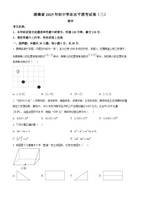 湖南省娄底市娄星区校联考2025年初中学业水平联考（三）数学试题