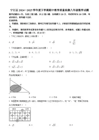 吉林省松原市宁江区2024-2025学年八年级下学期期中数学试题