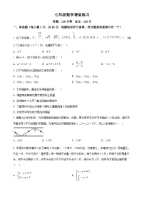 湖南省长沙市一中初级中学2024-2025学年七年级下学期第三次月考数学试题