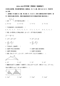 江苏省苏州市立达中学校2024-2025学年下学期八年级数学5月月考试题