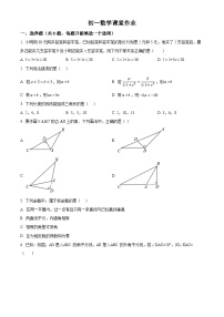 江苏省盐城市三校联考5月2024-2025学年七年级下学期5月月考数学试题