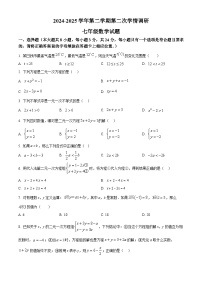 江苏省徐州市沛县2024-2025学年七年级下学期5月月考数学试题