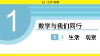 苏科版（2024）七年级上册（2024）生活观察教学ppt课件