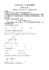 辽宁省大连市高新园区2024-2025学年八年级下学期期中数学试题