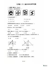辽宁省沈阳市第四十三中学2024-2025学年七年级下学期期中数学试卷