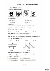辽宁省沈阳市第四十三中学2024-2025学年七年级下学期期中数学试卷
