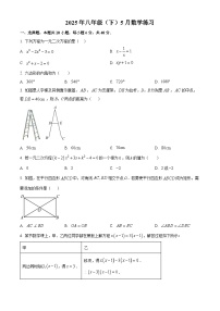 山东济南外国语学校2024—2025学年下学期八年级5月月考数学试卷