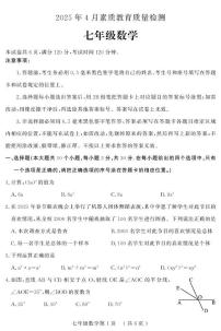 山东省菏泽市曹县2024-2025学年七年级下学期期中考试数学试题