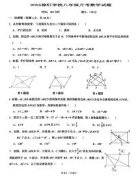 山东省济南市稼轩学校2024-2025学年八年级下学期5月月考数学试卷