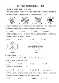 山东省济南市稼轩学校2024-2025学年七年级下学期5月月考数学试卷