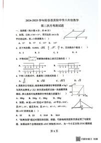 山东省聊城市阳谷县实验中学2024-2025学年八年级下学期6月月考数学试题