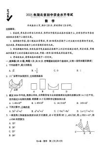 2025《万唯中考•湖北定心卷》数学模拟试卷及参考答案含答题卡