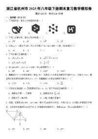浙江省杭州市2025年八年级下册期末复习数学模拟卷  含答案