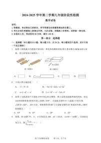2025年6月深圳中学中考三模-数学试卷（含答案）