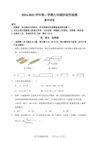 2025年6月深圳中学中考三模-数学试卷（含答案）