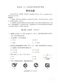 2025年四川省泸州市中考数学试题无标答