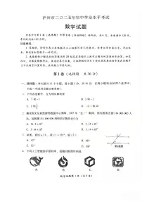 2025年四川省泸州市中考数学试题无标答