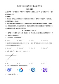 2025年四川省泸州市中考数学真题试卷(含答案)