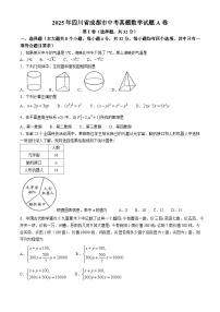 2025年四川省成都市中考真题数学试题含答案