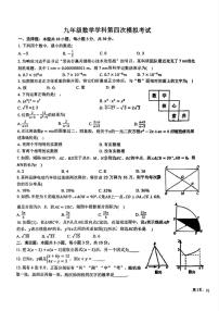 2025年河南省 驻马店市第四中学中考第四次模拟考试 数学试题（中考模拟）