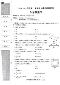 河北省沧州市献县2024—2025学年上学期八年级数学期末测试卷