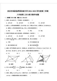 陕西省西安市高新逸翠园初级中学2024-2025学年 八年级下学期第二次月考数学试题