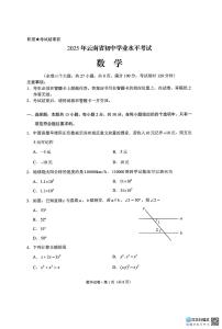 2025年云南省初中学业水平考试数学试卷（无答案）