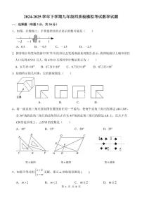2025年郑州市枫杨外国语中考四模数学试题及答案