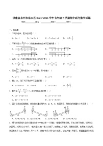 福建省泉州市洛江区2024-2025学年七年级下学期期中考试数学试卷(含解析）