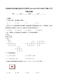 河南省驻马店市确山县部分中学联考2025届九年级下学期3月月考数学试卷(含解析)