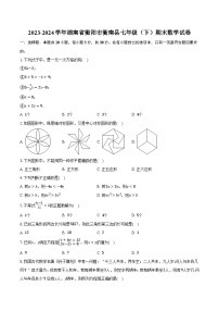 湖南省衡阳市衡南县2023-2024学年七年级下学期期末考试数学试卷(含答案)