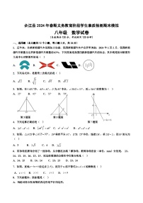 四川省泸州市合江县2023-2024学年八年级下学期期末模拟考试数学试卷(含答案)