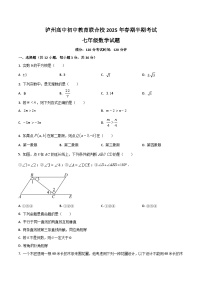 四川省泸州高级中学校2024-2025学年七年级下学期期中考试数学试卷(答案不全）