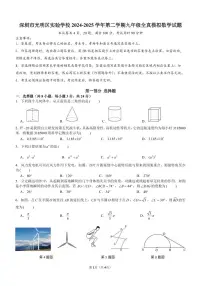 广东省深圳市光明区实验学校2024-2025学年下学期九年级全真模拟数学试题