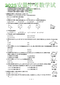2025年安徽省中考数学试题含答案
