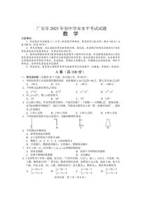 2025年四川省广安市中考数学试题含答案