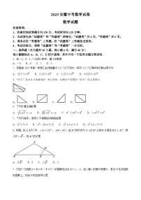 2025年安徽省中考数学真题含答案