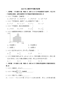 2025年上海市中考数学试卷附答案